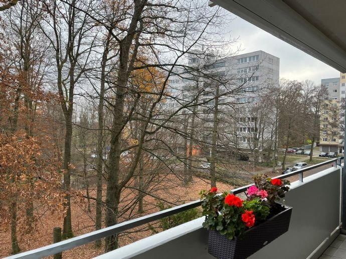 <br> Raumaufteilung: ... - Eigentumswohnungen, 3-Zimmer
