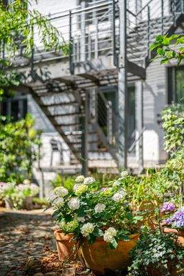 250807ld_0005 - Kopie