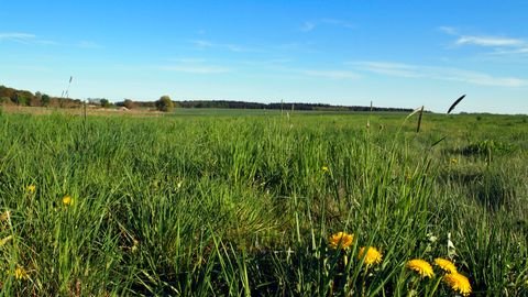 Diestelow / Grambow Grundstücke, Diestelow / Grambow Grundstück kaufen