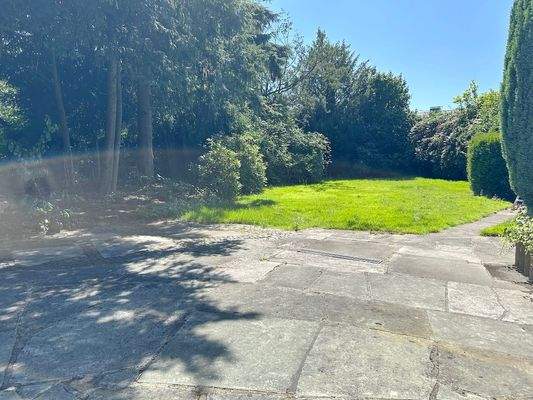 Blick in den Garten.