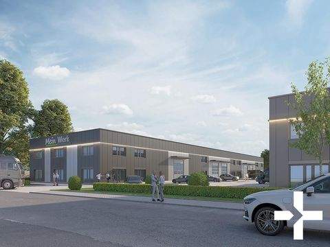 Mönchengladbach Halle, Mönchengladbach Hallenfläche