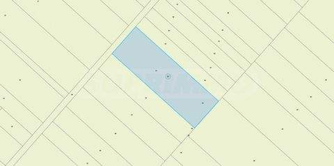 Gorna malina Bauernhöfe, Landwirtschaft, Gorna malina Forstwirtschaft