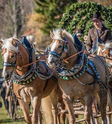 Leonhardi_MG_3401-Bearbeitet