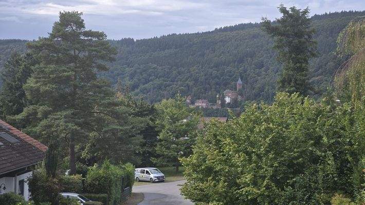 Ausblick auf's Schloss