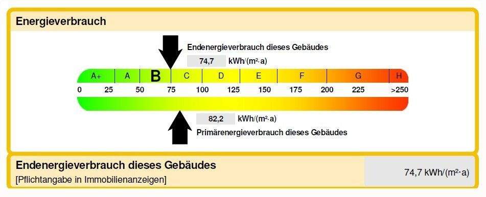 Ausschnitt Energieausweis