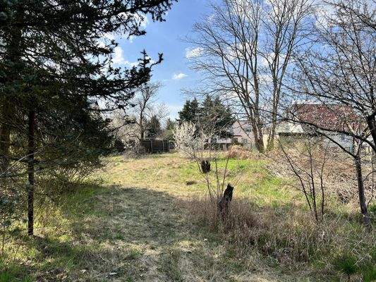 Blick aufs Grundstück