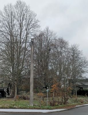 20241122_120042.jpg