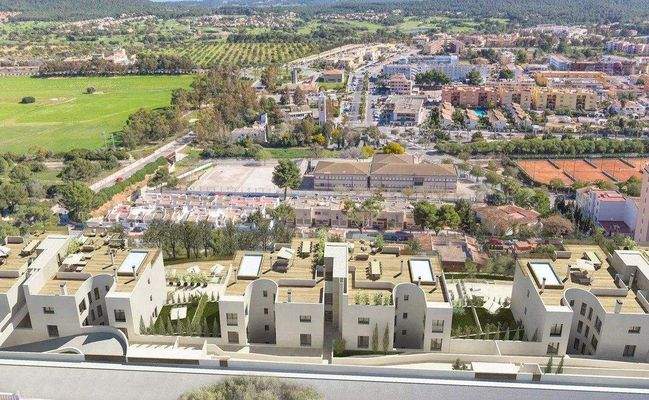 batch_15101 (27).jpg