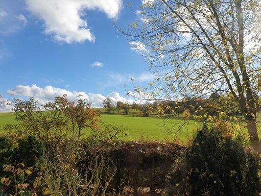 Natur vor der Haustüre