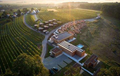 Burg / Deutsch-Schützen Weinberg Gastronomie, Pacht, Gaststätten