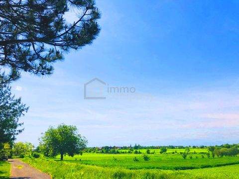 Breitenbrunn am Neusiedler See Grundstücke, Breitenbrunn am Neusiedler See Grundstück kaufen