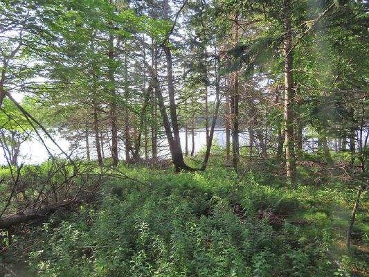 Cape Breton - Wunderschönes Fluss-Ufergrundstück a
