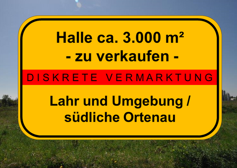 Lahr/Schwarzwald Halle, Lahr/Schwarzwald Hallenfläche