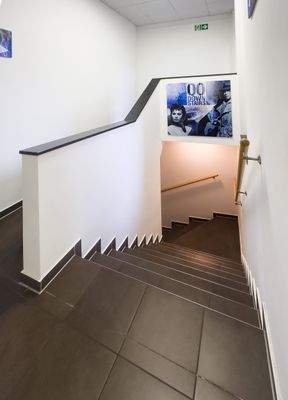 treppe-keller.jpg