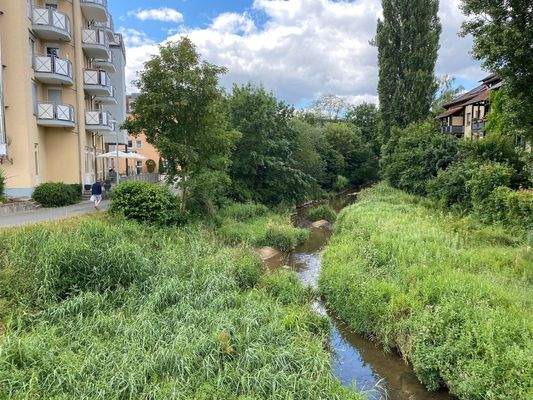 Direkte Lage am Mistelbach