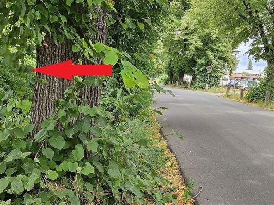 Bebauung der Zufahrt zum Grundstück