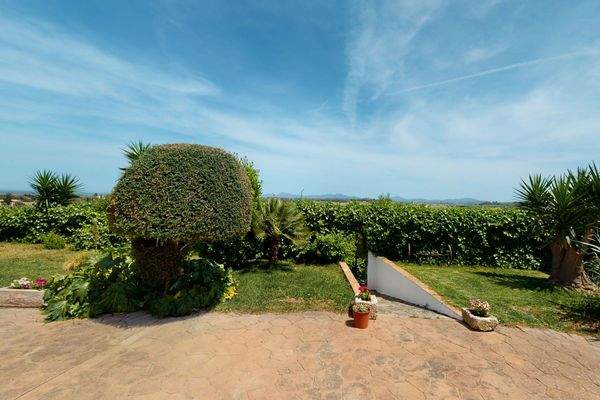 Panoramablick über das Umland von Muro 