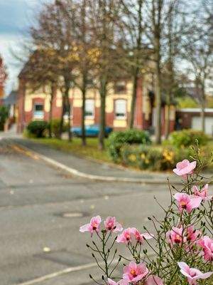 Unmittelbare Umgebung