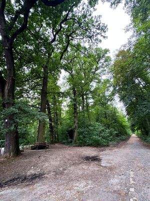 Der Stadtwald daneben