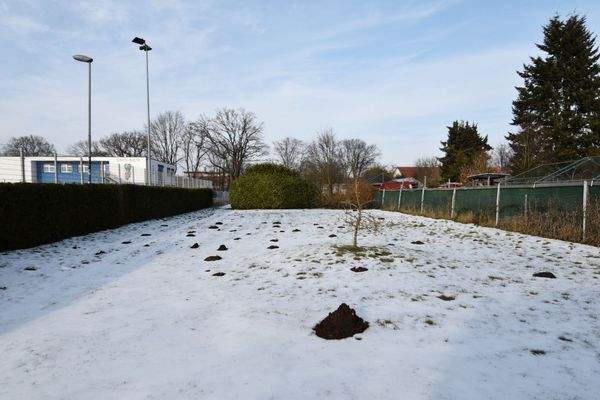 Garten vorderer Teil.jpg