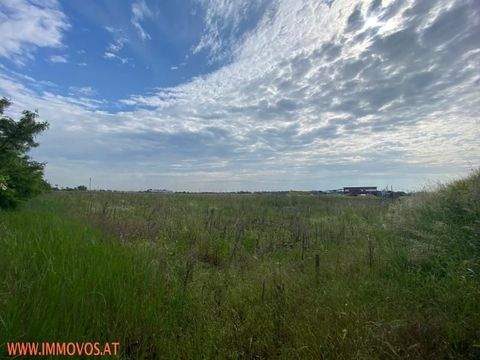 Hagenbrunn Industrieflächen, Lagerflächen, Produktionshalle, Serviceflächen