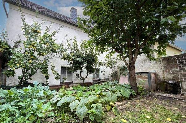 uriges Gemüsegärtchen