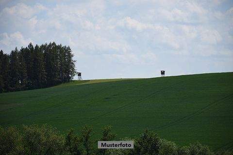 Tangerhütte Bauernhöfe, Landwirtschaft, Tangerhütte Forstwirtschaft