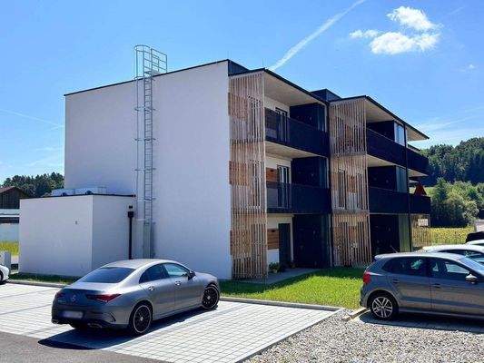 WhatsApp Image 2024-07-29 at 12.18.57 (7).jpeg