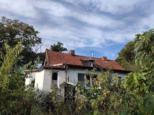 Foto 002 Maierbusch 15.jpg