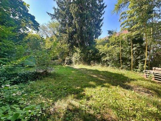 Traumhaft sonniger Garten