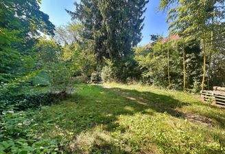 Traumhaft sonniger Garten