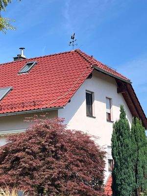 Dachansicht mit Wetterhahn