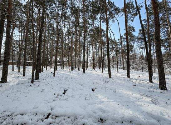 Idyllisches Grundstück