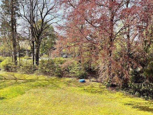 Foto 04.05.23, 10 32 53.jpg