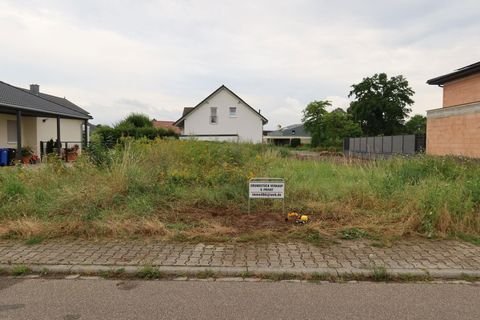 Haßloch Grundstücke, Haßloch Grundstück kaufen