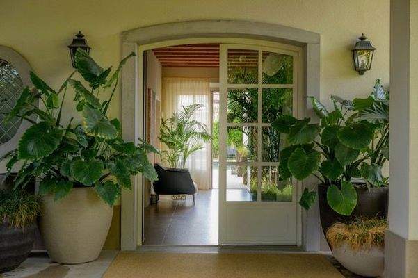 83e9c5f0-7c89-42c7-86da-95f19ac8d820 - Copia.JPG