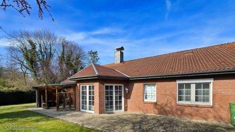 Sassenburg Häuser, Sassenburg Haus kaufen