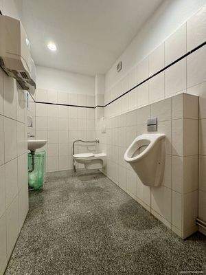 WC behindertengerecht