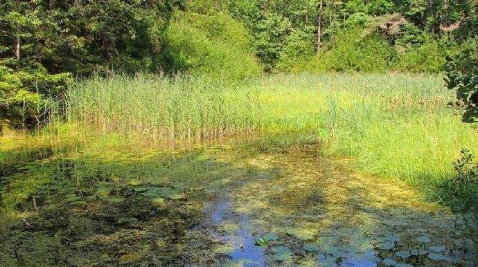 Umgebung und Impressionen