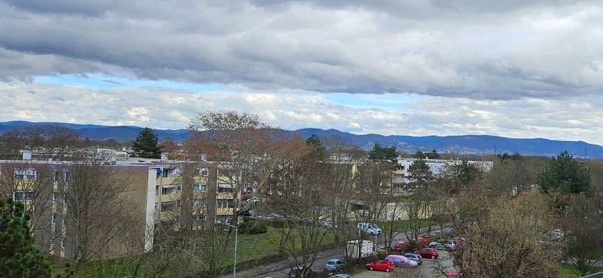 Blick in den Odenwald