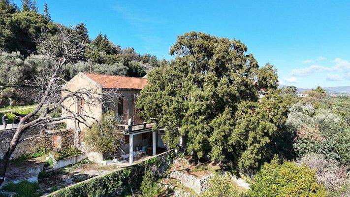 dji_fly_20250131_104434_0012_1738313129074_photo-C