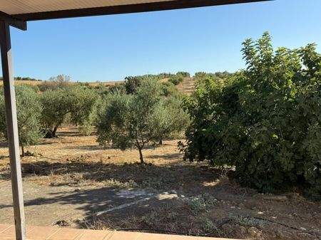 WhatsApp Bild 2025-08-30 um 10.57.12_79805f49