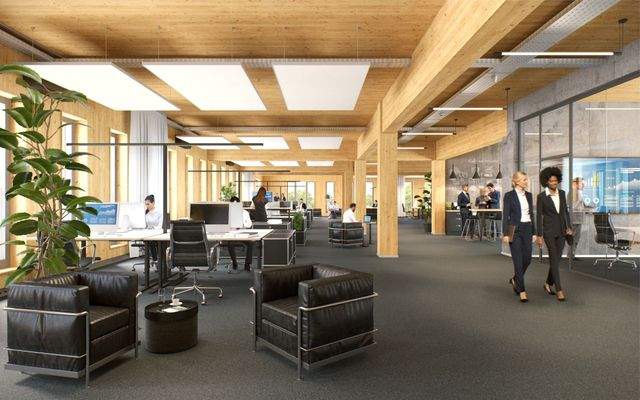 250120_P1_Innen_Office_UPDATE