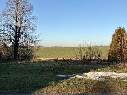 Grundstück Blickrichtung Norden 