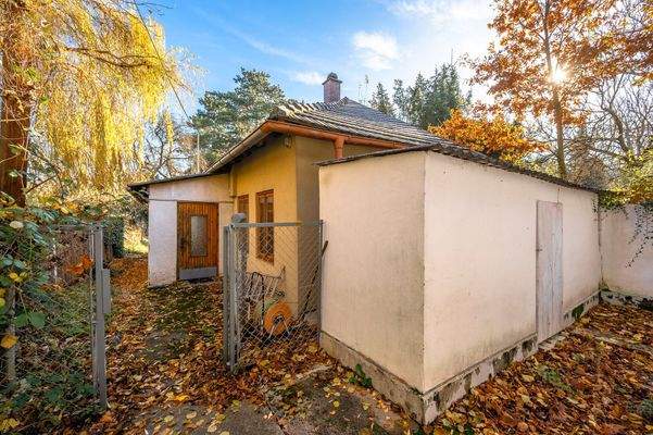 Altbestand im Grünland