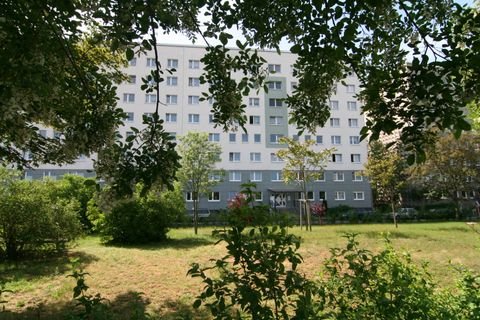 Dessau-Roßlau Wohnungen, Dessau-Roßlau Wohnung mieten