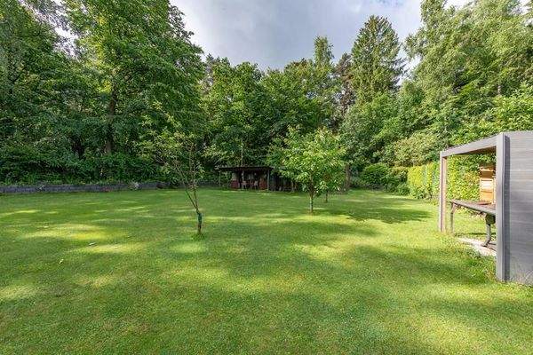 Naturschauspiel im Garten