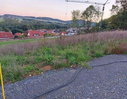 e86c98b3-d633-4091-8ddc-ca258fa98510-1941549411