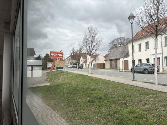 Blick Richtung Straße 