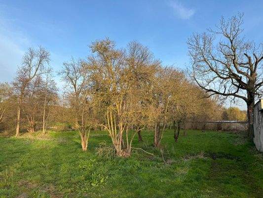 Hier könnte Ihr Zuhause sein